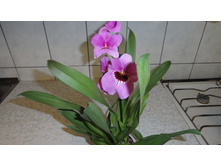 ���������..... ����� ��������� ������ ..)