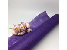 ���� 0.5�, ���� 13 ���