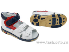 301-021 ������� ���� �����/�������/�����, ���/2 ������ - 1740 ���