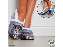 ������� ������� 192029 ����: 250 RUB  �������: 35-38, 38-41 ������: : 100 % ���������