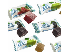 �������� ��������� �������-251/��