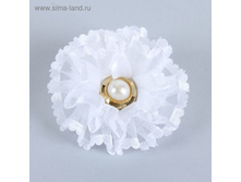 ������� ��� ����� ���� "���������"d-7 �� ������ 17,27��� �� 12��