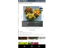 Screenshot 20180220-195015.png