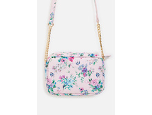 20206100066   Cuckoo         -       (   ).jpg