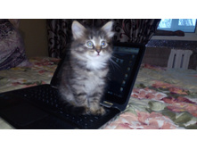 IMG 20180109 092143.jpg