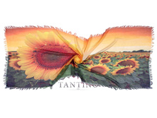 DR5-148-2 - 420 �..jpg