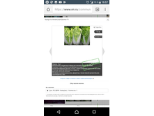 Screenshot 20180220-195717.png