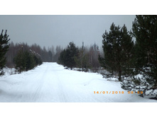 04.JPG