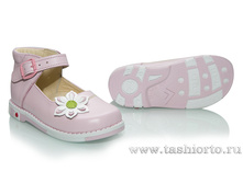 309-033 ����� , ���� ������ �������, ����, ������ - 1740 ���