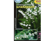 ������ ���������