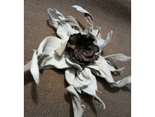 ������ �� ���� � ��������, 130 ���.