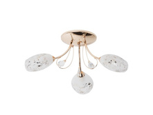 267013803 1500�.jpg