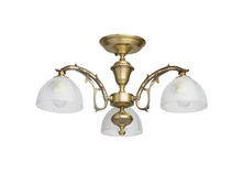 450011503 4900�.jpg