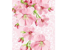 ������� ��������� ��������� ���� ���. 5236 ��� 2.jpg