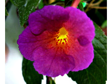 Dark Matter - 100 ���.