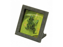 ������������� ����� " �������". ��������: ������.