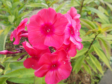 �������� *)