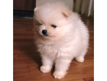 �.��� 010.JPG