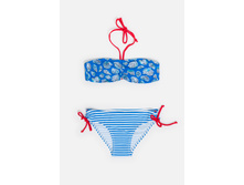 32214710008   Jeremaya          .jpg