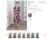 823 - 1250 ���..PNG