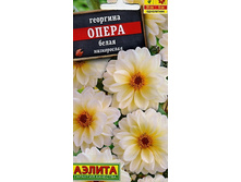 �������� ����� �����.jpg