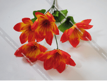 ����� LOTOS-6-35-55-M.png