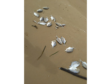 IMG 20170926 103206.jpg