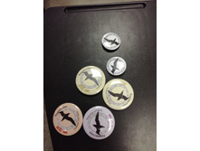 IMG 20180210 154359.jpg