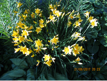 IMG 0812.JPG