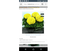 Screenshot 20180220-193755.png