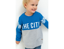 20120100119   Wolf          (      ).jpg