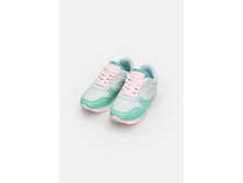 20228040058   Falcon          (   ).jpg