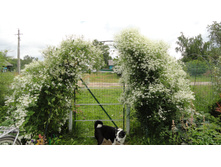 �������� ������