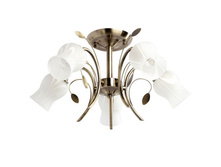 256018205 2400�.jpg