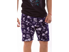 1/1721 �����