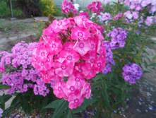 ����������� ����� *)