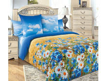 5a827ce133923 b198c37b1d62f0d59f084109bfaedf75.jpg