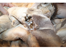 ��� ��� 006.jpg