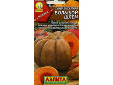 ����� ��������� ������� ����