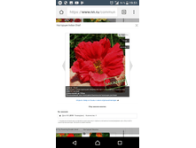 Screenshot 20180220-195119.png