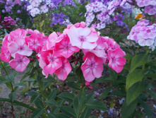 �������� *)