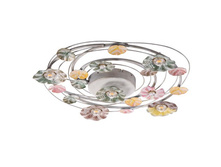 280011407 5000�.jpg