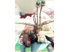 IMG 20180205 204438.jpg