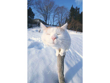 ��� �����!