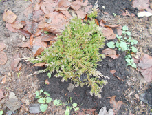 ���. �����. ������