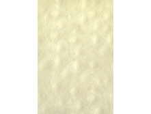 128049 1.jpg