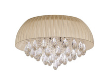 465015217 23000�.jpg