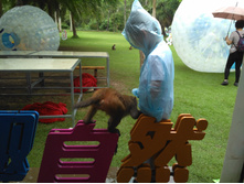 IMG 20170928 064624.jpg