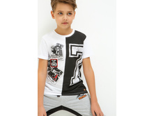 20110110084   Elk        .jpg