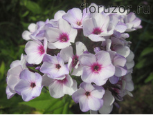 ���������� ������